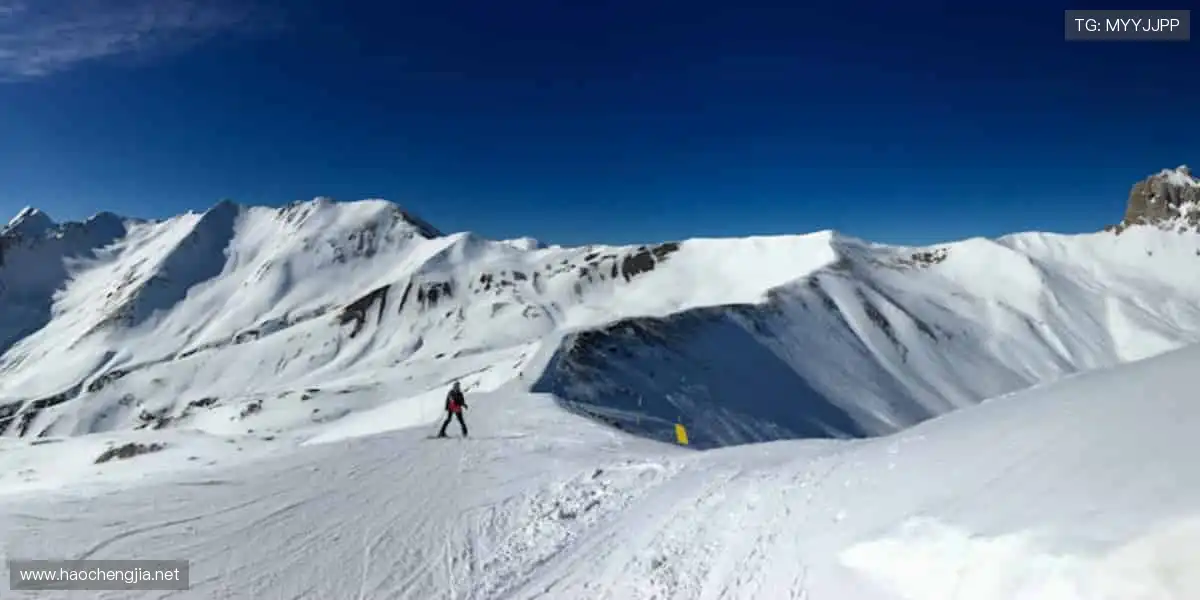 📱弹幕狂欢,实时互动!⚡️